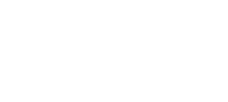 Shelton Strategies Inc